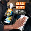 imageArmor All Car Cleaning Wipes Kit Includes Protectant Wipes Disinfectant Wipes Glass Cleaner Wipes for Cars Trucks and Motorcycles Pack of 3Wipes Kit Protectant  Disinfectant  Glass