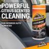 imageArmor All Car Interior Cleaner Wipes  Car Cleaning Wipes with Orange Cleans Dirt and Dust in Cars Trucks and Motorcycles 25 Count25 Count Pack of 1