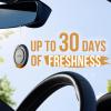 imageAxe 3D Hanging Disc Car Air Freshener Air Purifier Odor Eliminator Provides A Long Lasting Scent Dark Temptation 1 PackDark Temptation