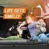 imageArmor All Car Air Freshener and Purifier Car Odor Eliminator 15 Ounce Pack of 3