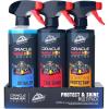 Protect & Shine Car Detailing Kit